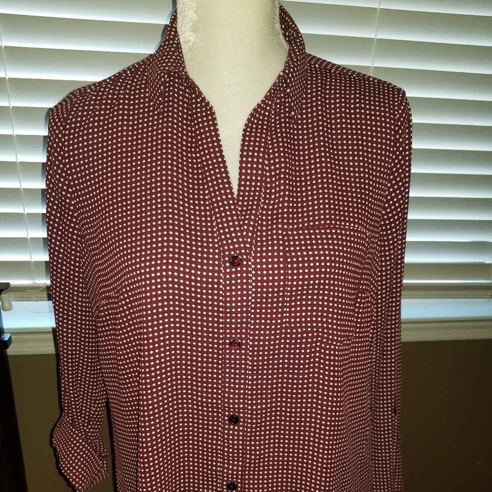 The Limited long sleeve blouse